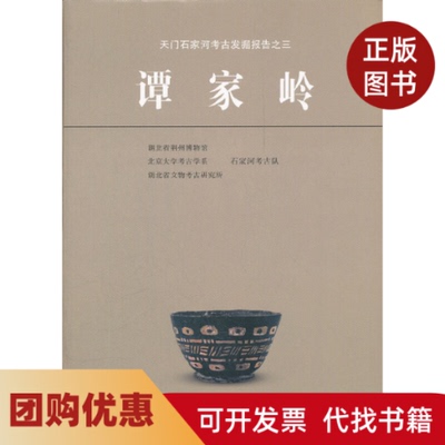【正版书籍】谭家岭精天门石家河考古发掘报告湖北省荆州博物馆北京大学考古学系湖北省文物考古文物