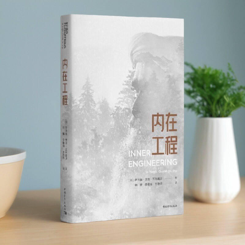 内在工程萨古鲁中国青年