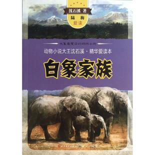 白象家族沈石溪天天出版 书籍 社有限责任公司 正版