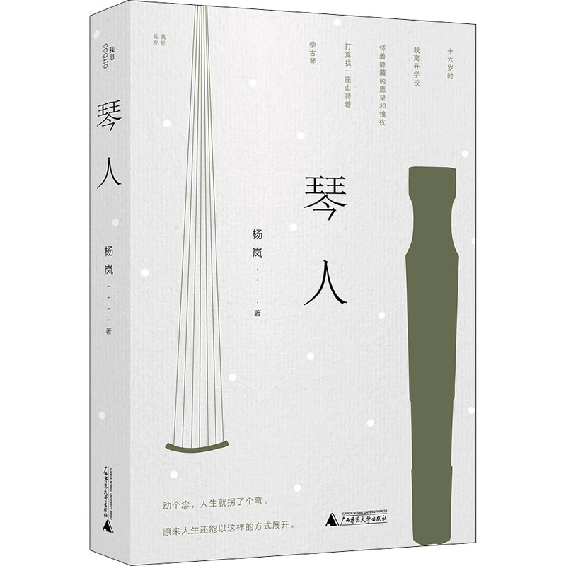 【正版书籍】琴人杨岚我思出品广西师范大学出版社