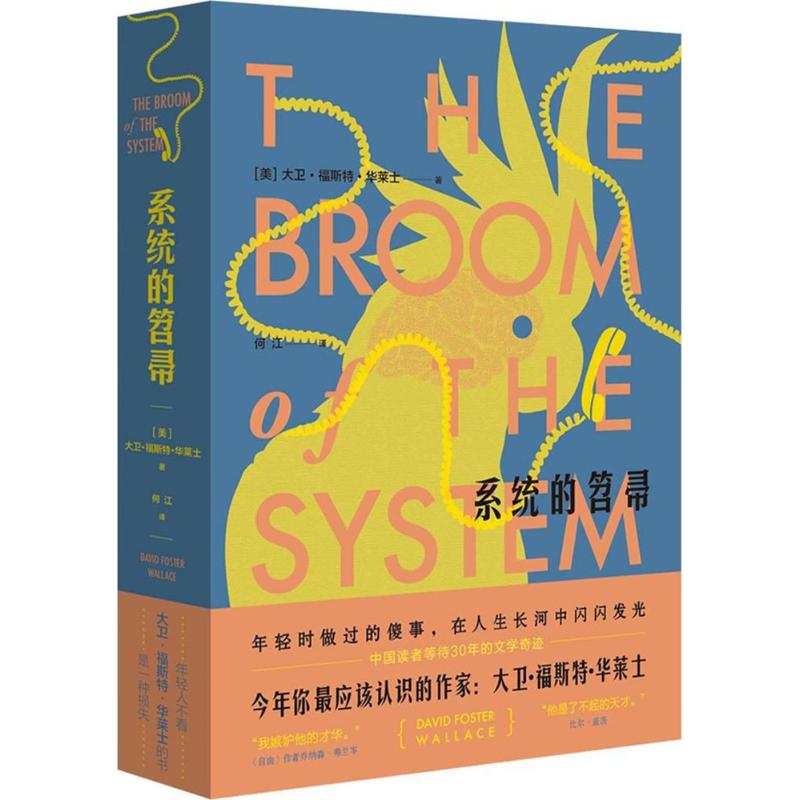 【正版书籍】系统的笤帚大卫福斯特华莱士北京时代华文书局