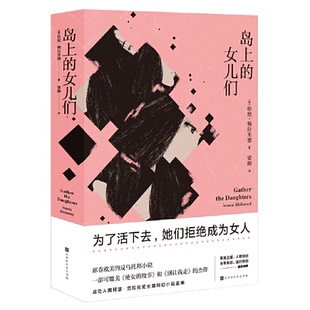 岛上 书籍 女儿们为了活下去她们拒绝成为女人珍妮梅拉米德梁卿北京时代华文书局 正版