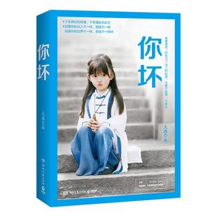 你坏大冰湖南文艺出版 书籍 社 正版