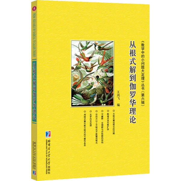 【正版书籍】从根式解到伽罗华理论王鸿飞哈尔滨工业大学出版社