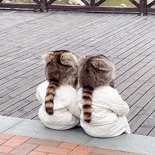 小浣熊尾巴帽子成人哈尔滨防寒仿貉毛雷锋帽冬儿童保暖可爱皮草帽