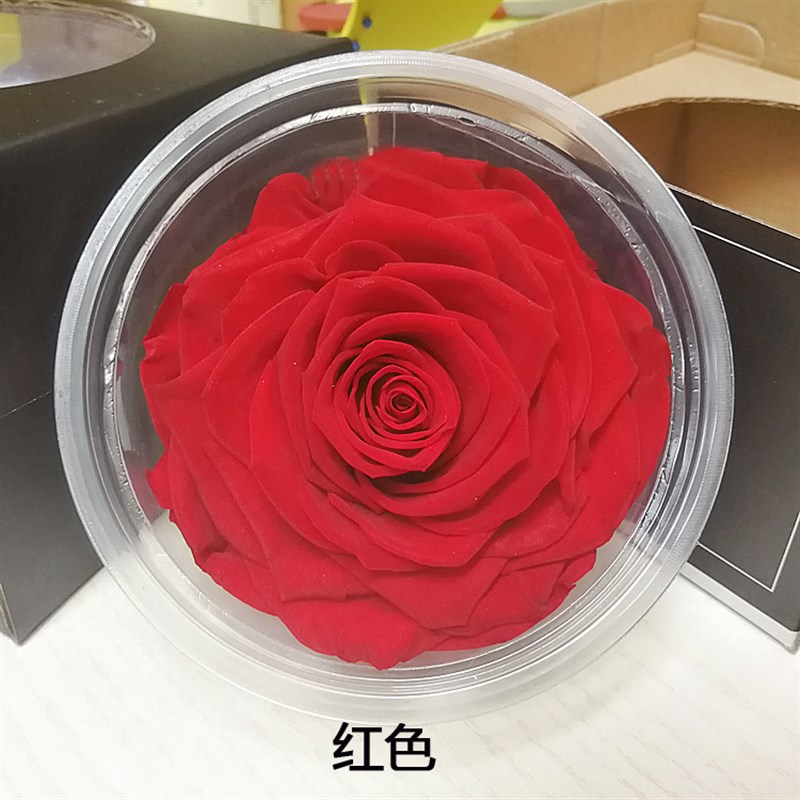 速发巨型10-12cm永生玫瑰保鲜玫瑰永生花圣诞节七夕情人节生日礼