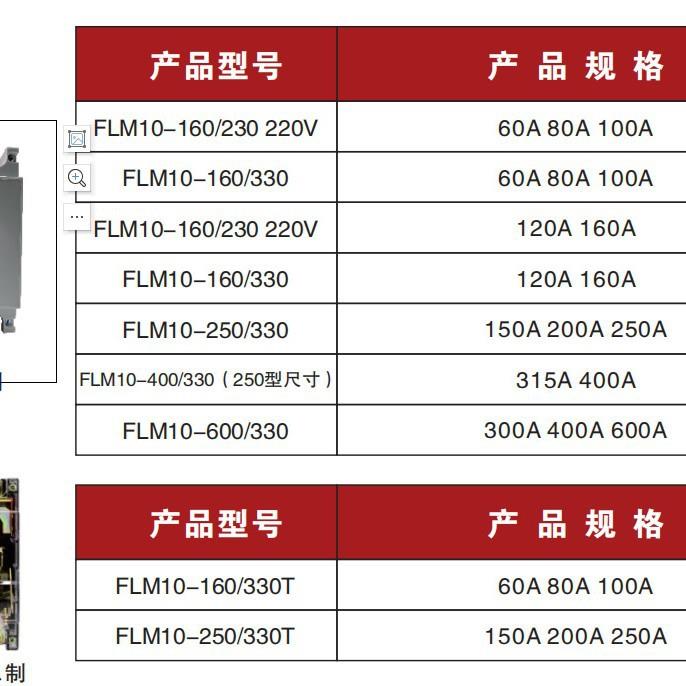 DZ10-100/160A/2P两极空气开关FLM10-160/23060A80A100A160A