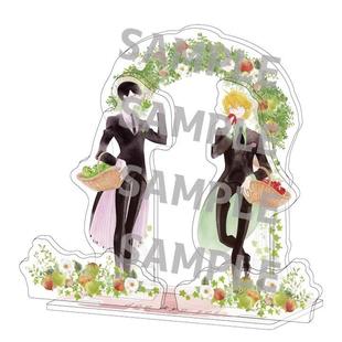 【木野日谷】预售  Medicos 同级生 糖果罐 BIG亚克力立牌摆件 07