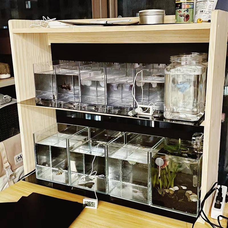 I1家层用桌面小书架简易实木小型置物架学生绘本书多立学F77JTSJH