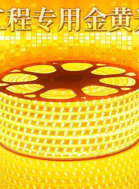 金黄光5灯730金双排贴片黄酒店KTV光户外防水黄色线120珠L5730型E