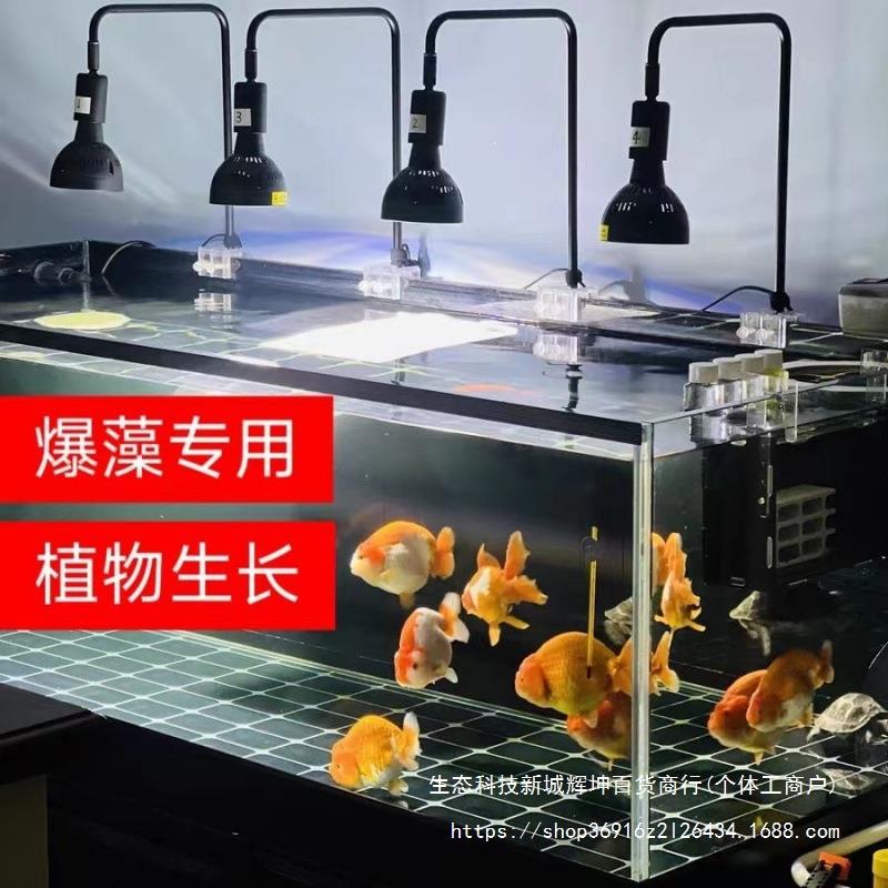 爆藻灯鱼缸灯光谱l低价lvloed植物补光水草口7原生南美e2螺灯鱼缸