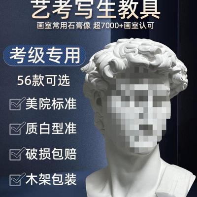 美石膏像大卫石膏像件术教TRZ维纳斯小卫海盗欧具美装饰摆品塑摆