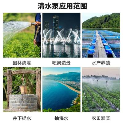 100QJ 家用全不锈钢深井泵 多级潜水泵 可制定60HZ出口专用深井泵