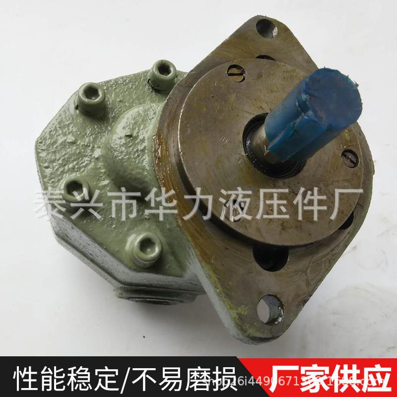 单级齿轮泵边立L增不堵塞式油泵高压压铸JUN铁CB-FC25-F油泵