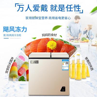 无霜冻货小冰柜小型家用全冷冻冷藏两用柜迷你商用冷冻柜一级节能