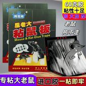 胶粘大老鼠强力胶粘大老鼠黏鼠板大号老鼠贴厨房家用加厚捕鼠神器