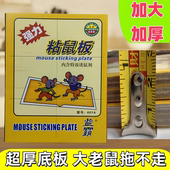 老鼠贴强力益霸粘鼠板厨房家用老鼠板加大超强粘鼠贴黏鼠板捕鼠贴