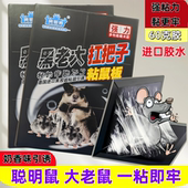 粘鼠板强力老鼠粘大号老鼠贴厨房家用专用加厚捕鼠贴新款 黏鼠板