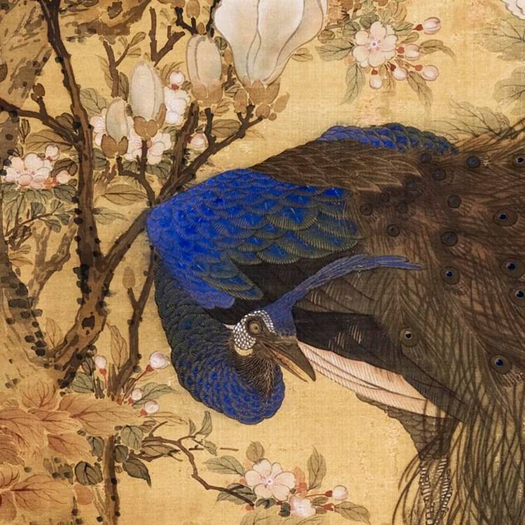 沈铨孔雀玉兰牡丹图花鸟画卷轴挂画仿古画复制古代名画玄关装饰画图片