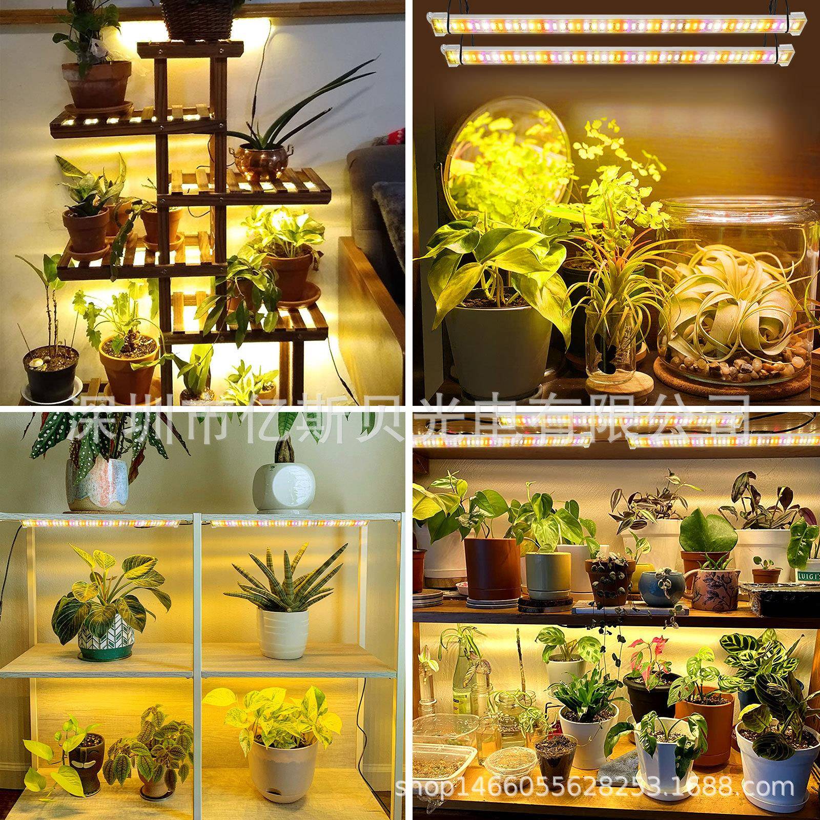 L灯ED植物补灯WB0015条物生长全光谱植物光灯管T5灯植多肉补光灯