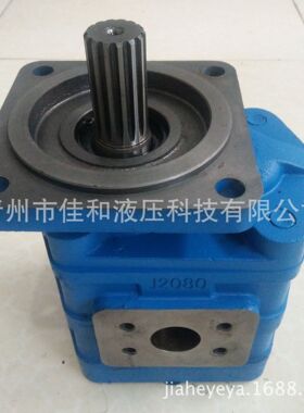 厂家供应厦工953-951装载机转向泵CBGJ2080A左渐 11C0581