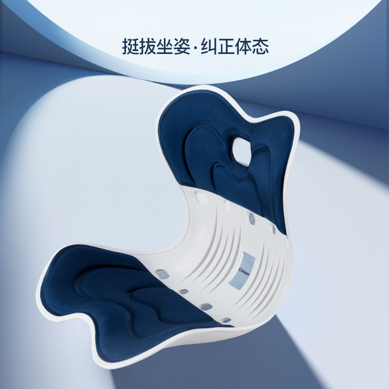 一件代发西莱森护腰坐垫CP-WP1办公室坐垫坐姿靠垫矫正器