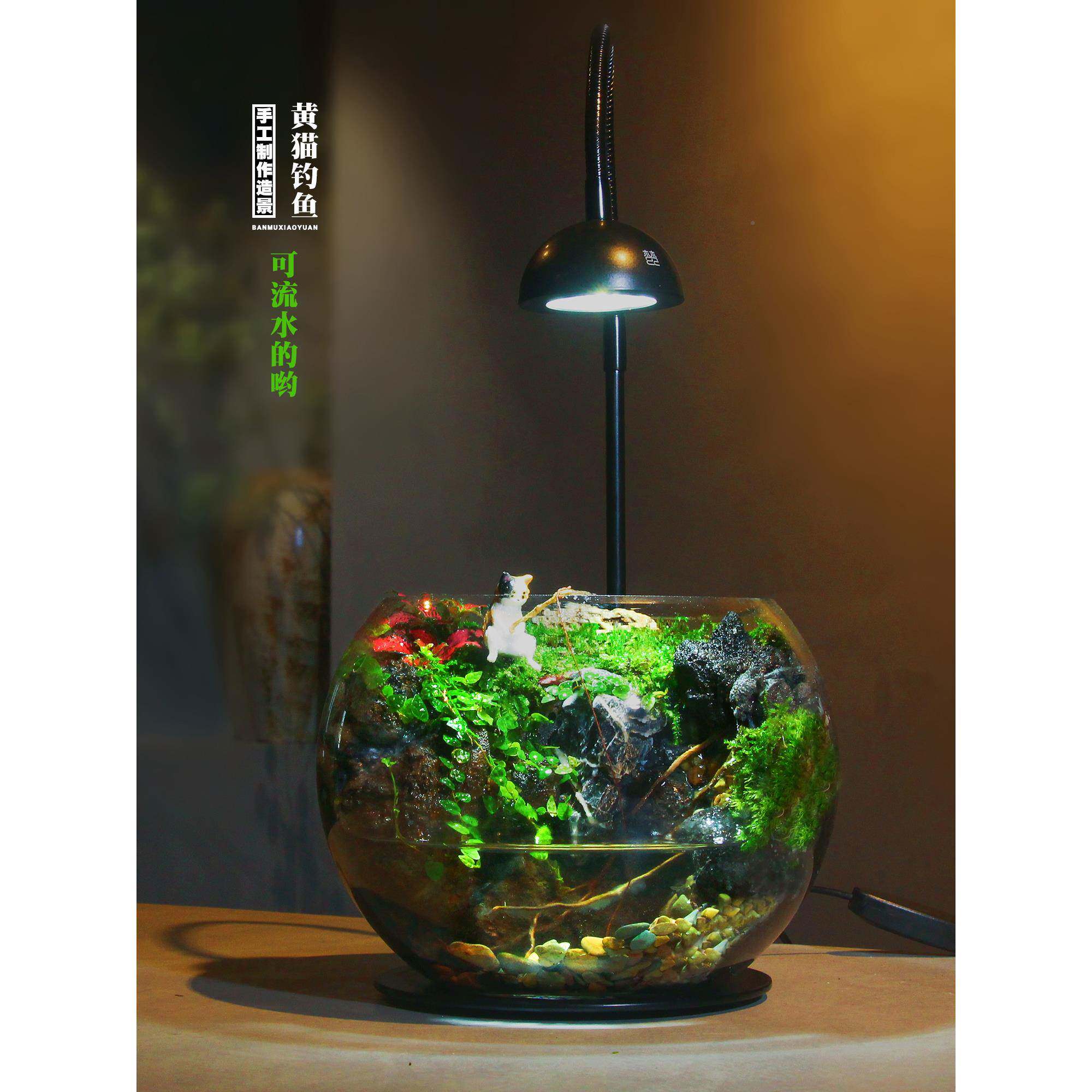 【迷团团圆圆水】玻璃瓶生态室内桌面你rm756499陆苔藓微景观造景