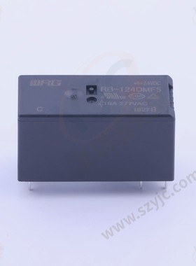 WRG(旺荣) 功率继电器 RB-124DMF5 DIP,12.6x28.9mm