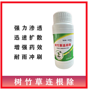 树竹草连根除 除树除竹子除草烂树烂根