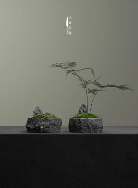 天青苔绿 新中式永生苔藓盆景微景观 样板间茶室茶几软装饰品摆设