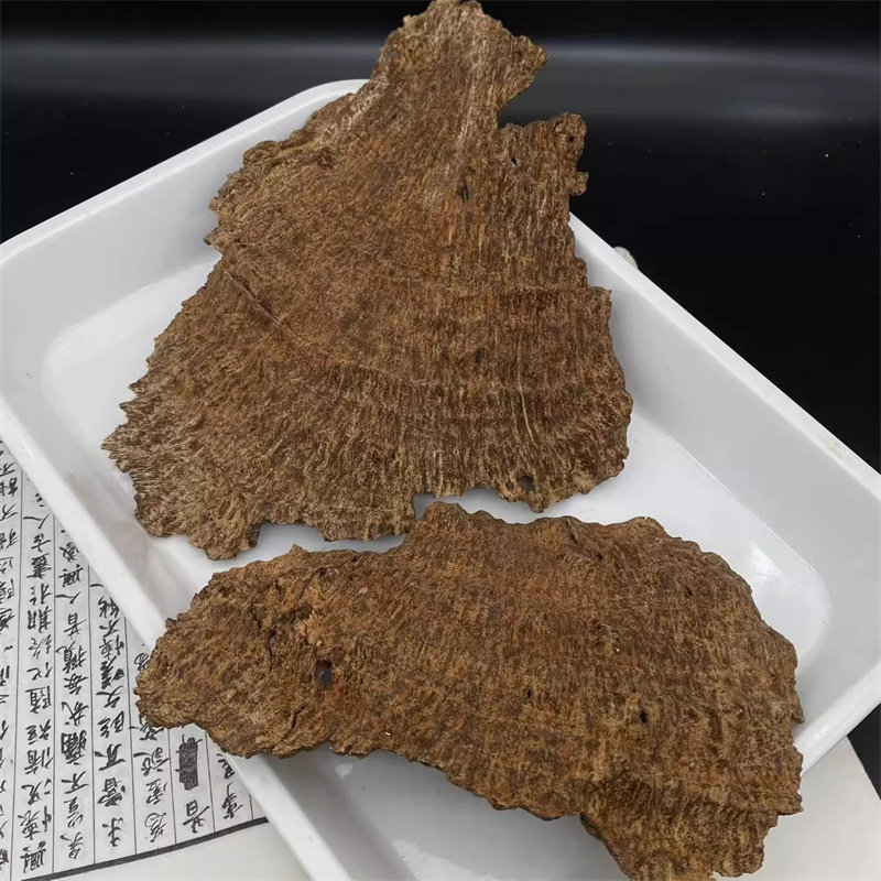 沉水大块摆件 沉水老料芽庄铁头 花香凉蜜香味扑鼻 厚肉透顶油