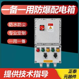 一用一备双水泵污水自动控制防爆配电箱一控二水泵浮球防爆控制箱