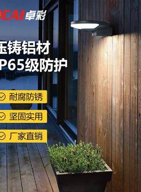 太阳ZC-BD100能壁灯庭院灯门灯室外架葡萄花园别墅围墙led灯户外