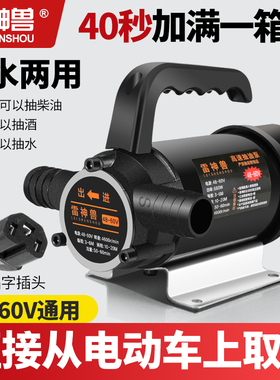 速发油水V用抽水泵抽油泵家用12V24两48V6VV2200小型水泵插电直流