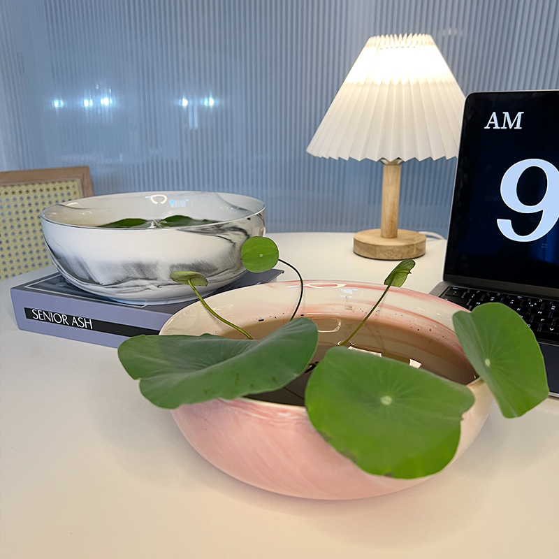 速发睡莲盆缸水莲花花水花盆陶瓷无孔水养缸盆碗莲莲培器皿荷花盆