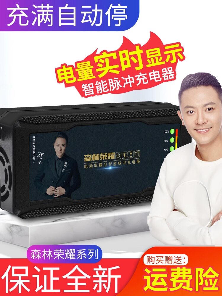 新日防触碰电动车电瓶充电器48v12ah60v20ah72v32ah森林荣耀通用