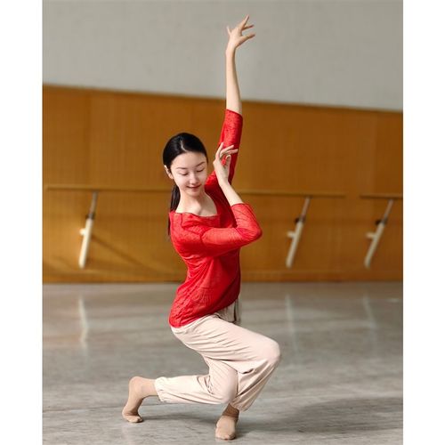 速发舞蹈服练功上衣中装古典舞跳舞衣服国成人长袖套装芭蕾爵士