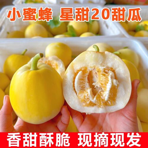 2026头茬小蜜罐不甜不新鲜包退