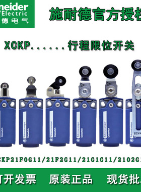 XCKP2102G11防水型行程开关 ZCY18 ZCP21热塑滚轮限位开关