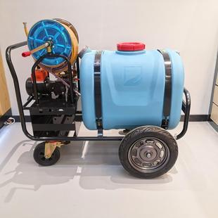 市政环卫电动消毒车直流电园林打药车48V60V手推式 四轮车打药机