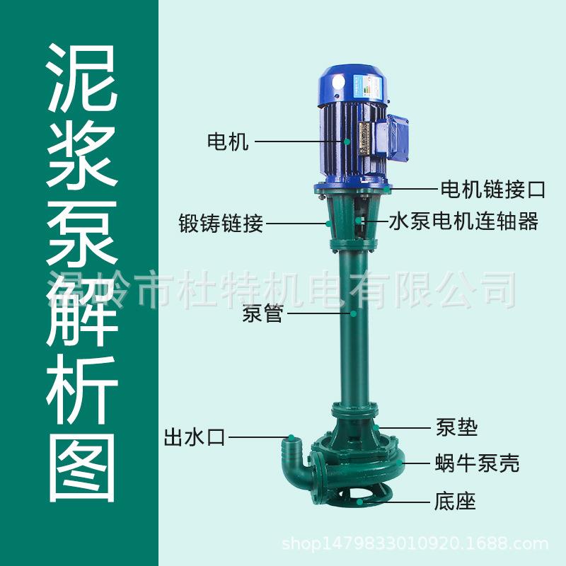 L立式泥浆泵GSS大功率三相污水泵粪泵淤泥切割泵液下NN泵L100抽-8