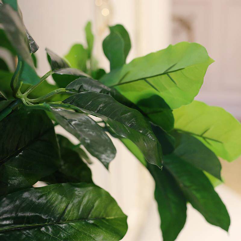 大客型厅地装饰假花hzs-1塑料花仿假真绿植树发财树过落胶植物盆