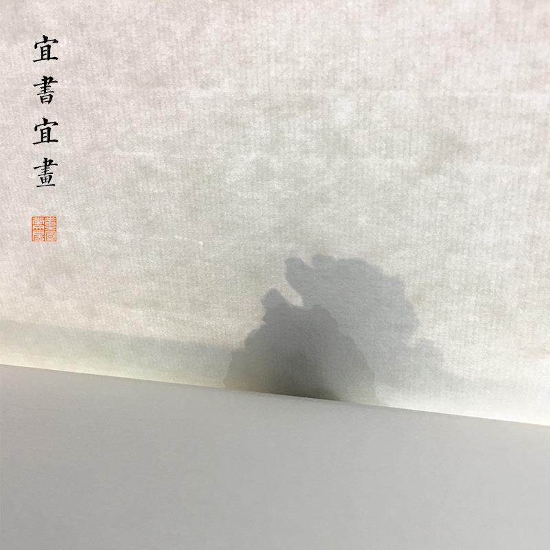 752初学者书法练习用纸生宣纸半生国练毛笔字尺四三尺对熟开作品