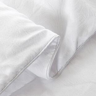 被厚保暖羽丝绒子12冬加春秋冬被被芯宿厂家直供舍丝绵被双人8/10