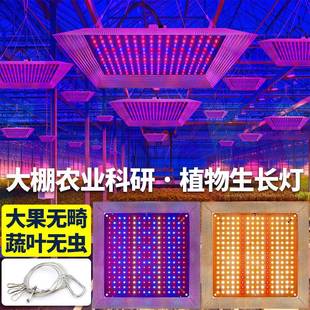 量子板植生长灯ed反光铝罩薄款 全光IEY谱大物棚植物面板补0光l灯1