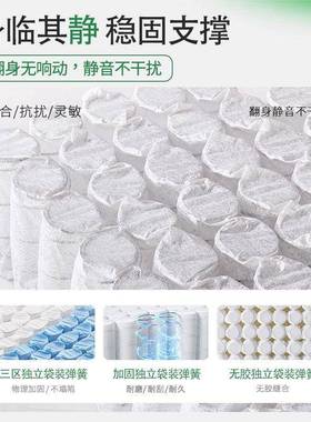 室内床垫天然黄麻榈弹簧垫青少年棕垫偏硬垫子脊棕UDC整张发撑床