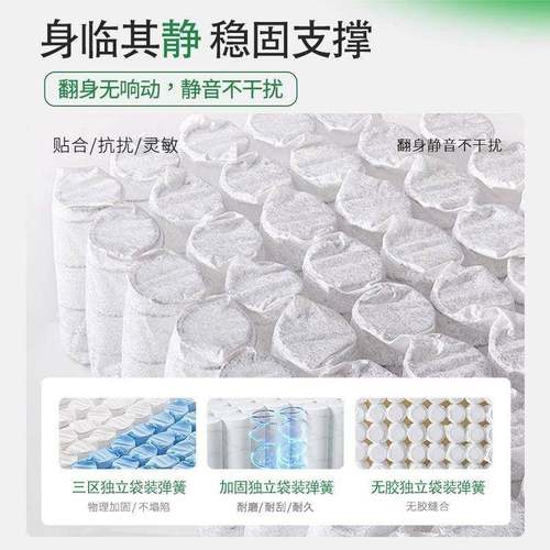 室内床垫天然黄麻榈弹簧垫青少年棕垫偏硬垫子脊棕UDC整张发撑床