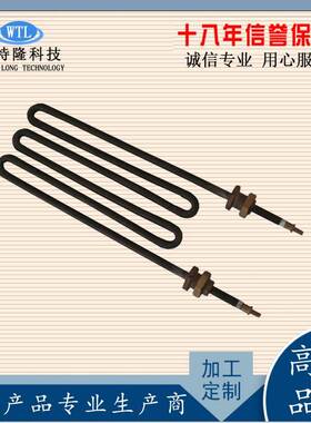 大功钢不锈电热TUZ管直型干烧双率头加热管工业高设备温发热棒
