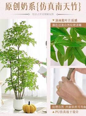 天竹绿植轻奢室内大型落地盆栽客仿厅装南饰摆WHA花件生假树
