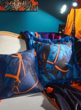 轻奢时尚雪尼尔双面印方枕抱枕花复古流苏蓝色骏马沙发XBI护腰靠